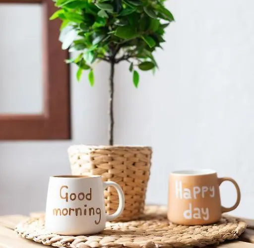 別荘 Casa Canaria Acero *