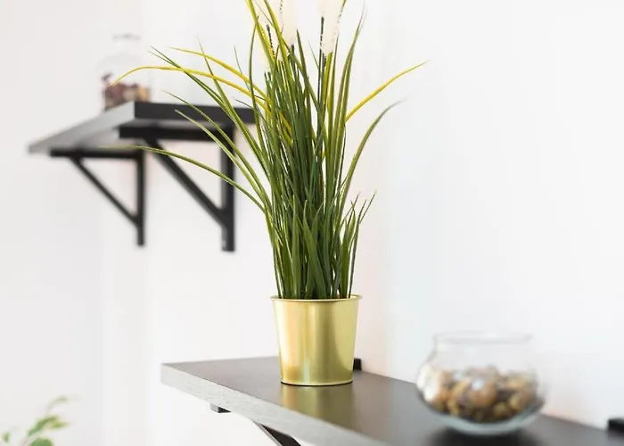 Casa Canaria Acero * ガラチコ