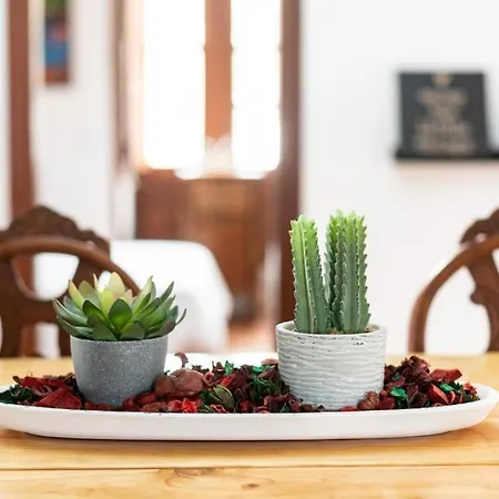 Semesterbostad Casa Canaria Acero Garachico (Tenerife)