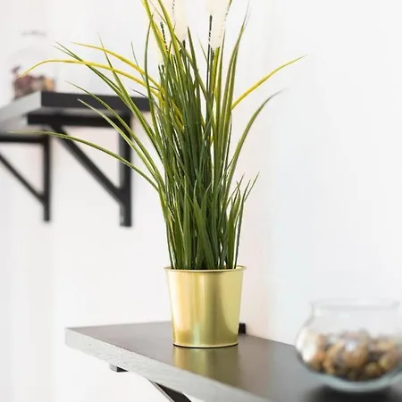 Casa Canaria Aceró * Garachico (Tenerife)